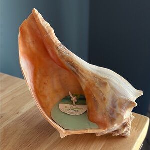 Candle inside 7” shell